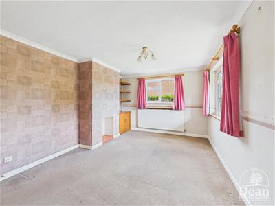 Picture 13